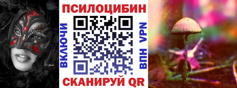 Галлюциногенные грибы Psilocybine cubensis  купить наркоту  Белый 
